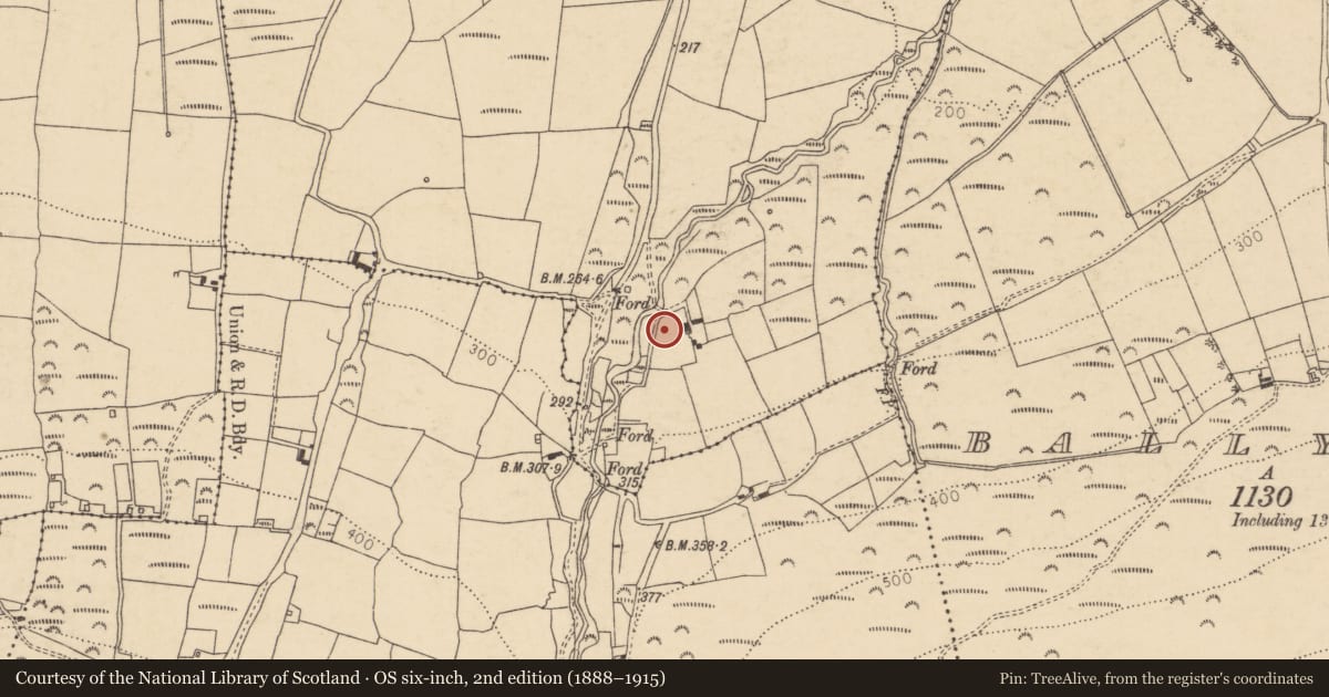 Ordnance Survey six-inch map, 2nd edition (1888–1915) covering the location of Fulacht fia, Grange, County Cork, with a pin at the register's coordinates