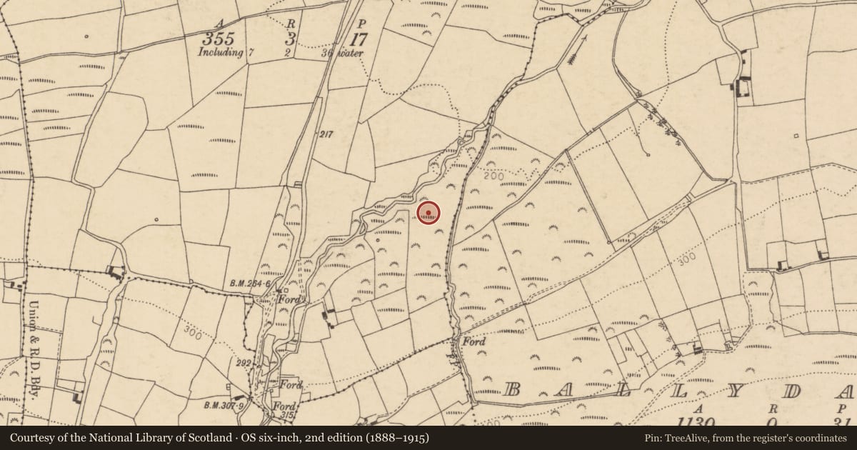 Ordnance Survey six-inch map, 2nd edition (1888–1915) covering the location of Fulacht fia, Grange, County Cork, with a pin at the register's coordinates