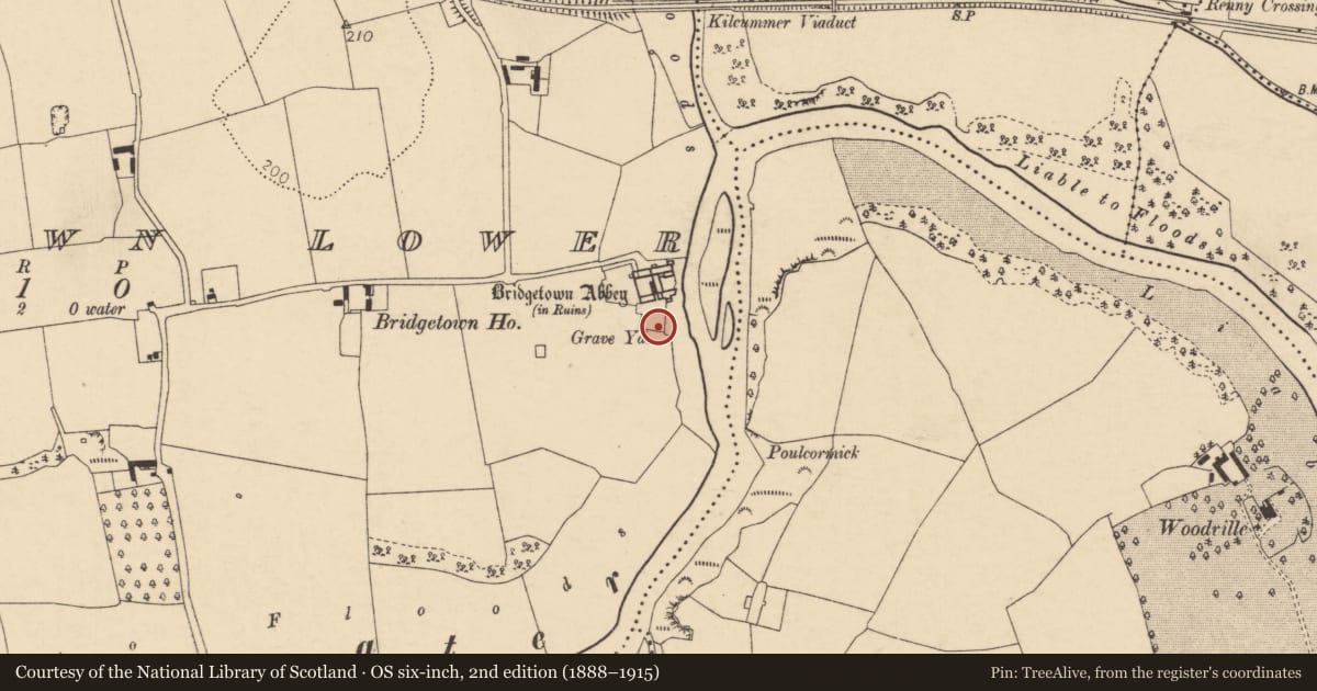 Ordnance Survey six-inch map, 2nd edition (1888–1915) covering the location of Graveyard, Bridgetown Lower, County Cork, with a pin at the register's coordinates