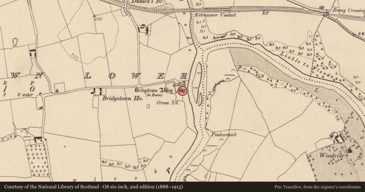 Ordnance Survey six-inch map, 2nd edition (1888–1915) covering the location of Religious house - Augustinian canons, Bridgetown Lower, County Cork, with a pin at the register's coordinates