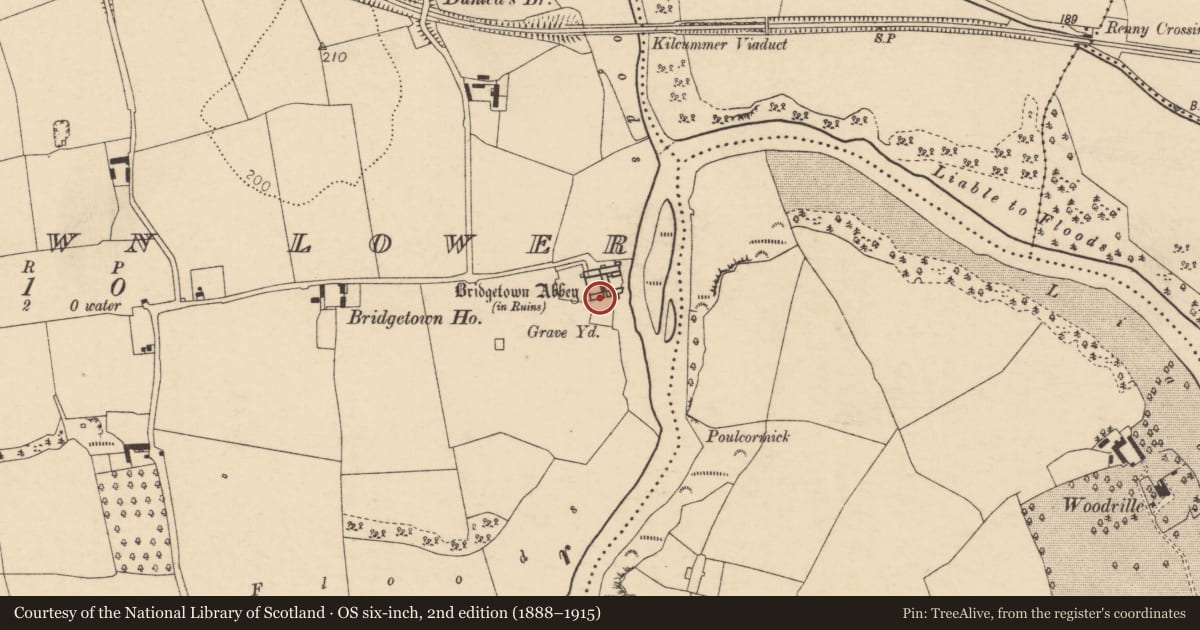 Ordnance Survey six-inch map, 2nd edition (1888–1915) covering the location of Earthwork, Bridgetown Lower, County Cork, with a pin at the register's coordinates