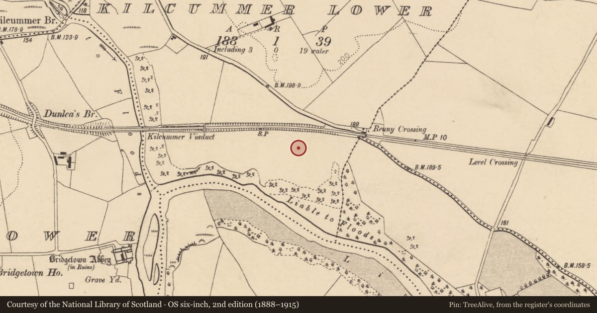 Ordnance Survey six-inch map, 2nd edition (1888–1915) covering the location of Enclosure, Kilcummer Lower, County Cork, with a pin at the register's coordinates