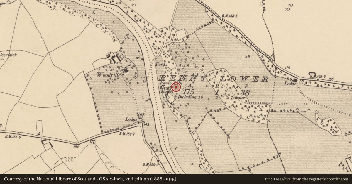 Ordnance Survey six-inch map, 2nd edition (1888–1915) covering the location of Castle - unclassified, Renny Lower, County Cork, with a pin at the register's coordinates