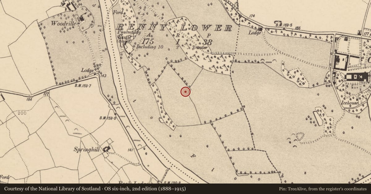 Ordnance Survey six-inch map, 2nd edition (1888–1915) covering the location of Ringfort - rath, Renny Lower, County Cork, with a pin at the register's coordinates