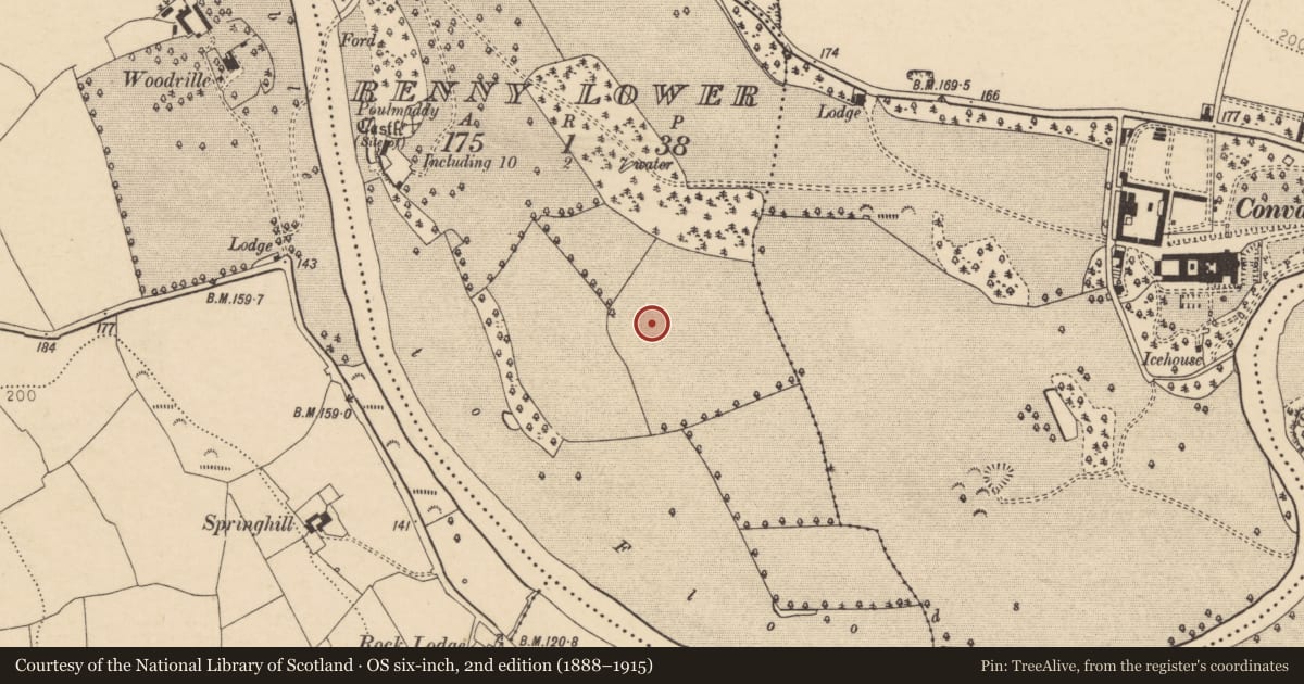 Ordnance Survey six-inch map, 2nd edition (1888–1915) covering the location of Barrow - ring-barrow, Renny Lower, County Cork, with a pin at the register's coordinates