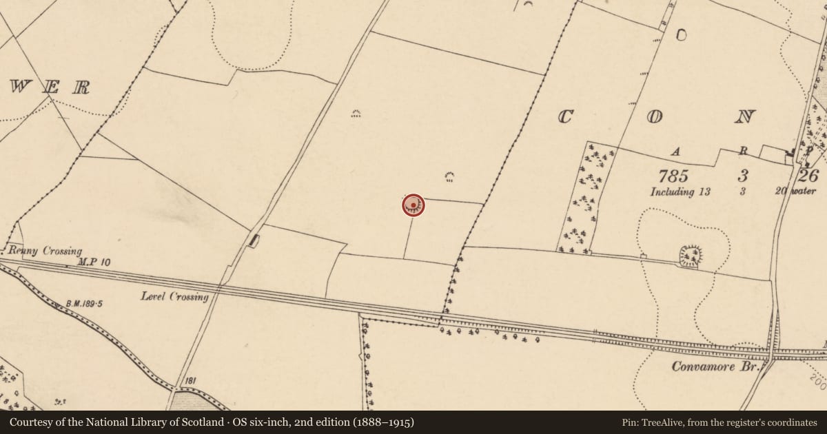 Ordnance Survey six-inch map, 2nd edition (1888–1915) covering the location of Ringfort - rath, Renny Upper, County Cork, with a pin at the register's coordinates