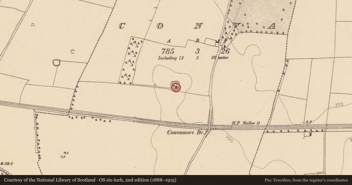 Ordnance Survey six-inch map, 2nd edition (1888–1915) covering the location of Ringfort - rath, Conva, County Cork, with a pin at the register's coordinates