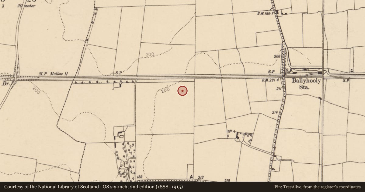 Ordnance Survey six-inch map, 2nd edition (1888–1915) covering the location of Ringfort - rath, Ballyhooly North, County Cork, with a pin at the register's coordinates