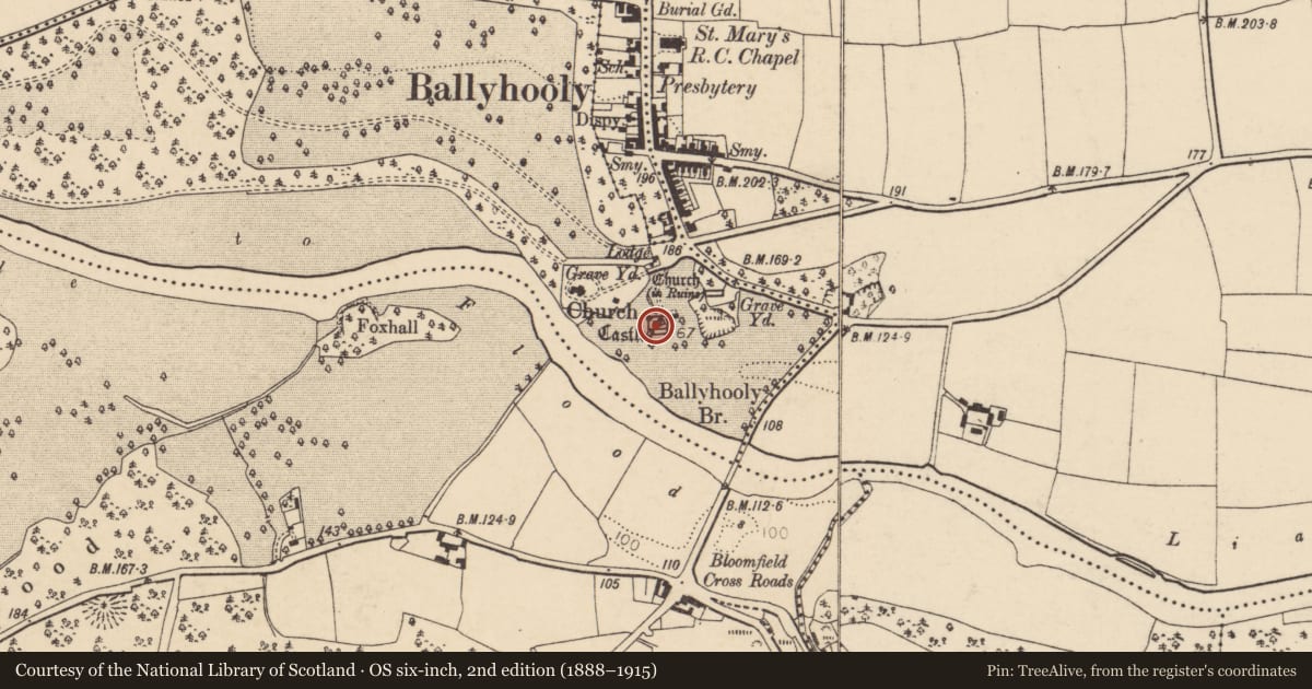 Ordnance Survey six-inch map, 2nd edition (1888–1915) covering the location of Castle - tower house, Conva, County Cork, with a pin at the register's coordinates