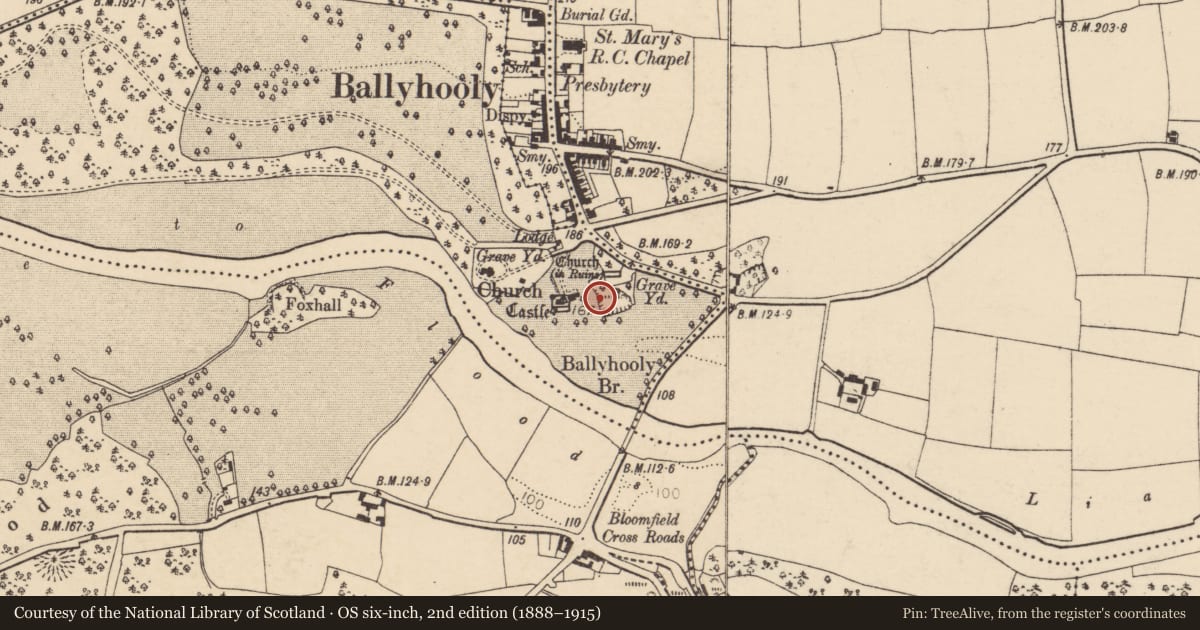 Ordnance Survey six-inch map, 2nd edition (1888–1915) covering the location of Graveyard, Conva, County Cork, with a pin at the register's coordinates