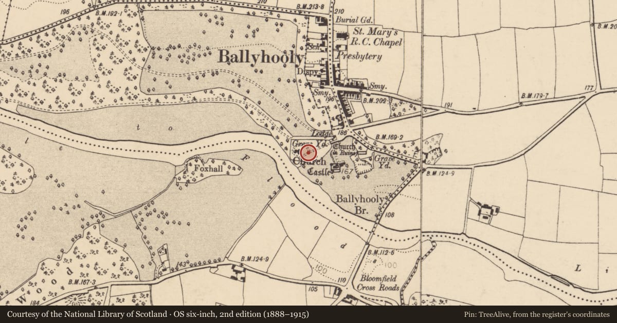Ordnance Survey six-inch map, 2nd edition (1888–1915) covering the location of Graveyard, Conva, County Cork, with a pin at the register's coordinates