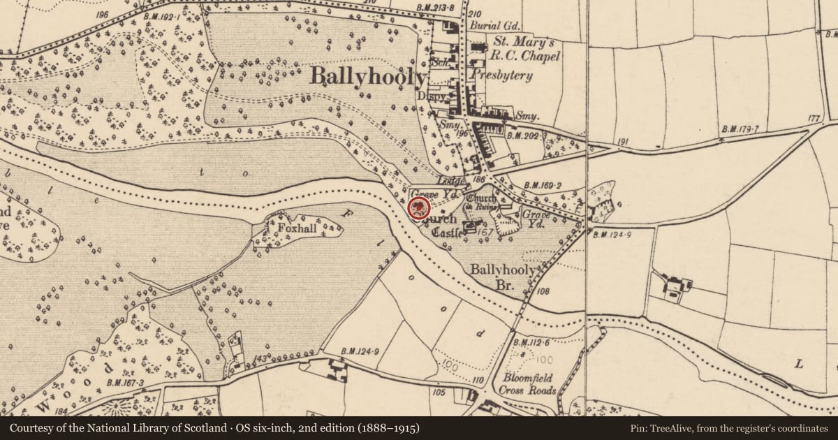 Ordnance Survey six-inch map, 2nd edition (1888–1915) covering the location of Church, Conva, County Cork, with a pin at the register's coordinates