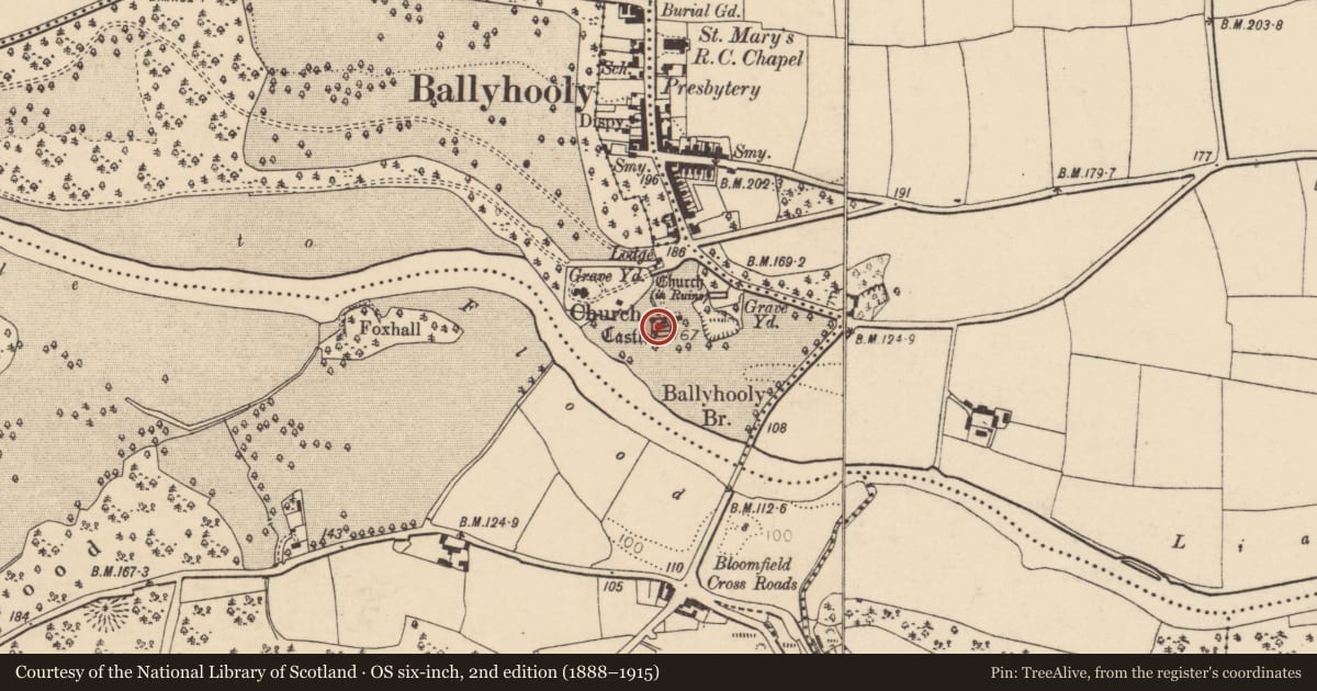 Ordnance Survey six-inch map, 2nd edition (1888–1915) covering the location of Bawn, Conva, County Cork, with a pin at the register's coordinates