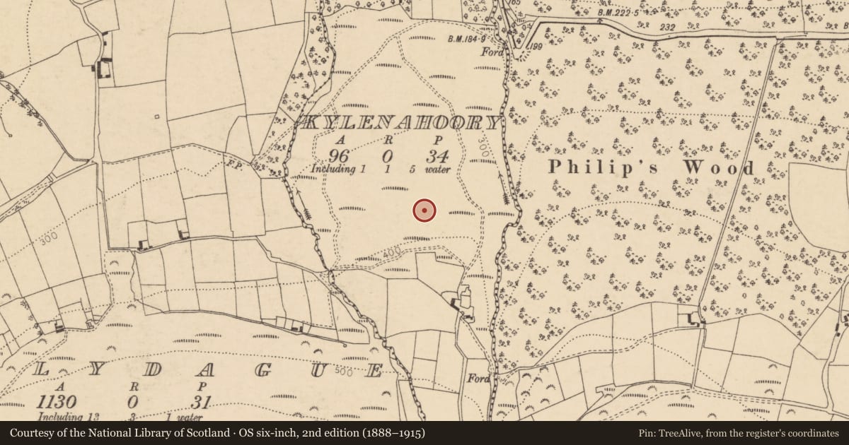 Ordnance Survey six-inch map, 2nd edition (1888–1915) covering the location of Ringfort - rath, Kylenahoory, County Cork, with a pin at the register's coordinates