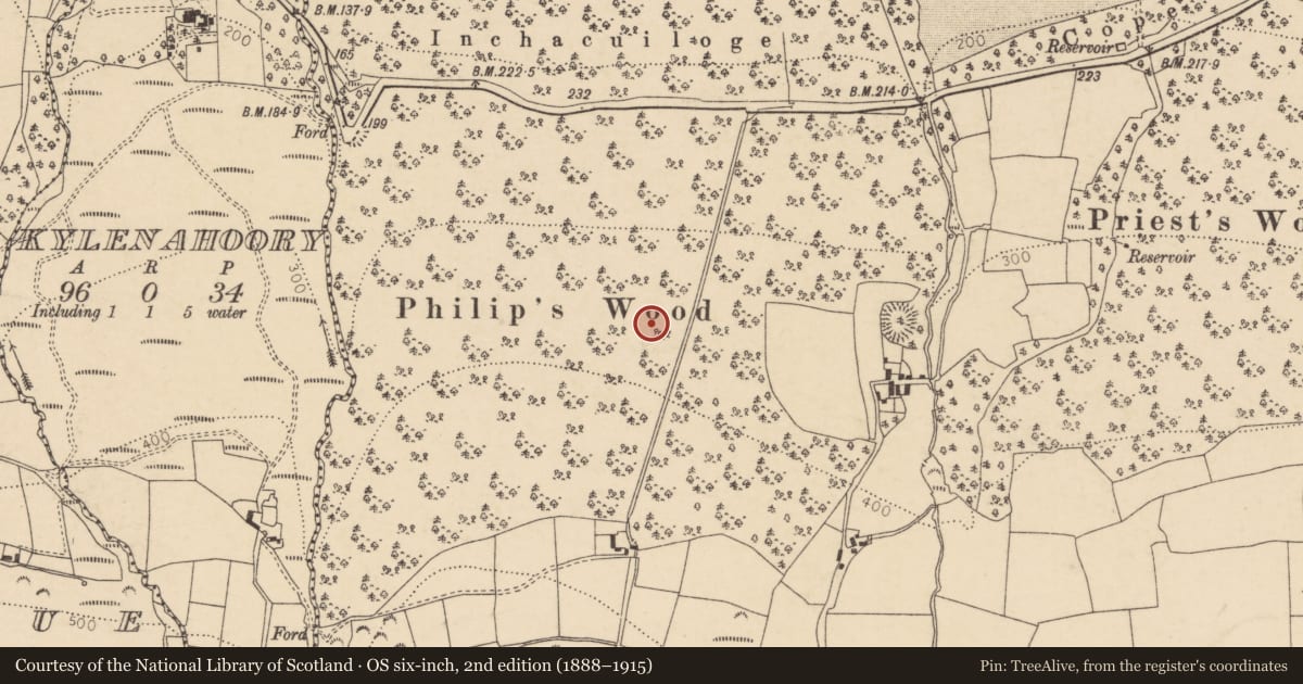 Ordnance Survey six-inch map, 2nd edition (1888–1915) covering the location of Ringfort - rath, Castleblagh, County Cork, with a pin at the register's coordinates
