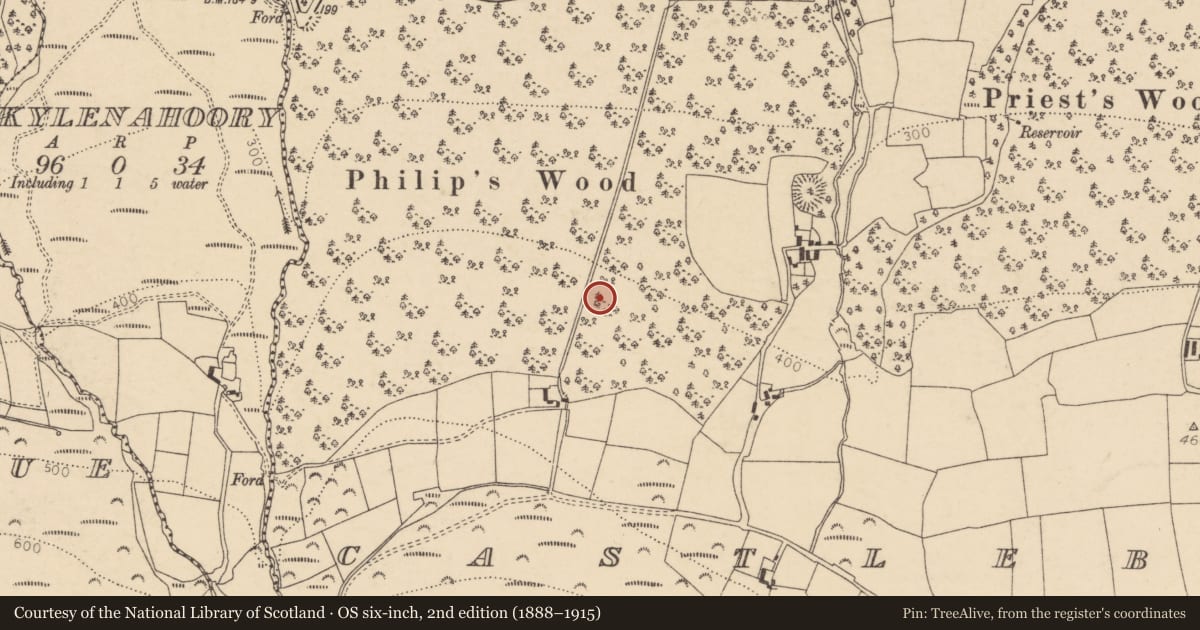 Ordnance Survey six-inch map, 2nd edition (1888–1915) covering the location of Ringfort - rath, Castleblagh, County Cork, with a pin at the register's coordinates