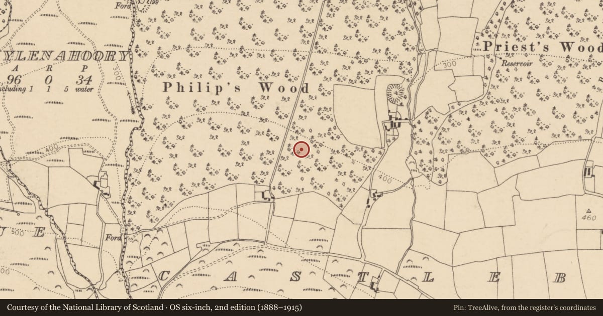 Ordnance Survey six-inch map, 2nd edition (1888–1915) covering the location of Souterrain, Castleblagh, County Cork, with a pin at the register's coordinates