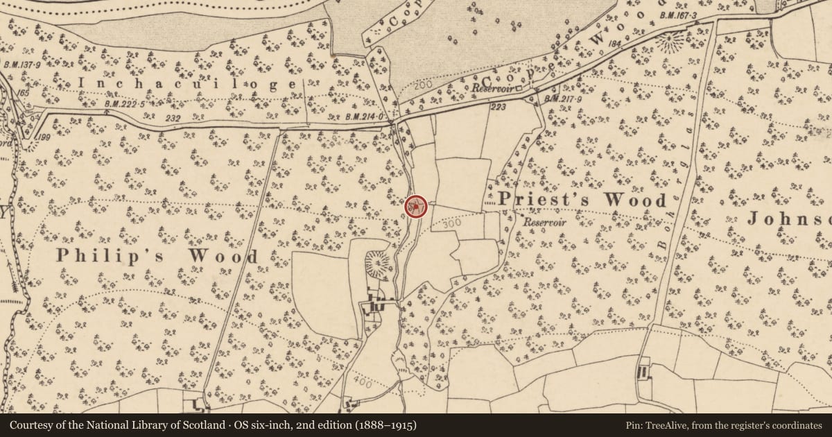 Ordnance Survey six-inch map, 2nd edition (1888–1915) covering the location of Fulacht fia, Castleblagh, County Cork, with a pin at the register's coordinates