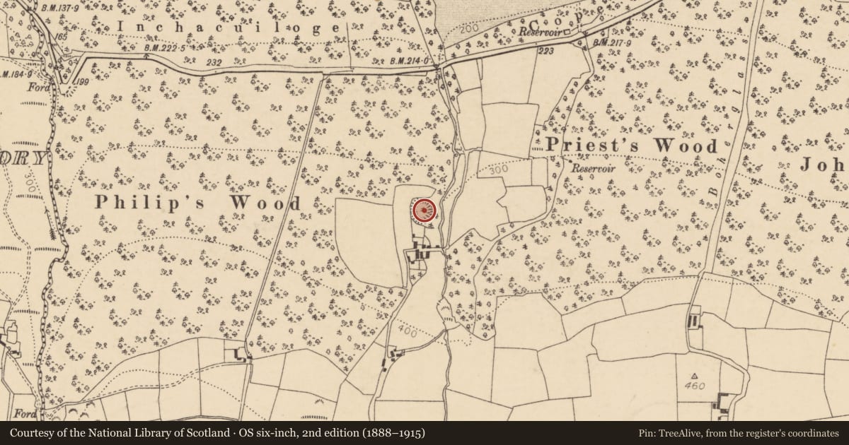 Ordnance Survey six-inch map, 2nd edition (1888–1915) covering the location of Ringfort - rath, Castleblagh, County Cork, with a pin at the register's coordinates