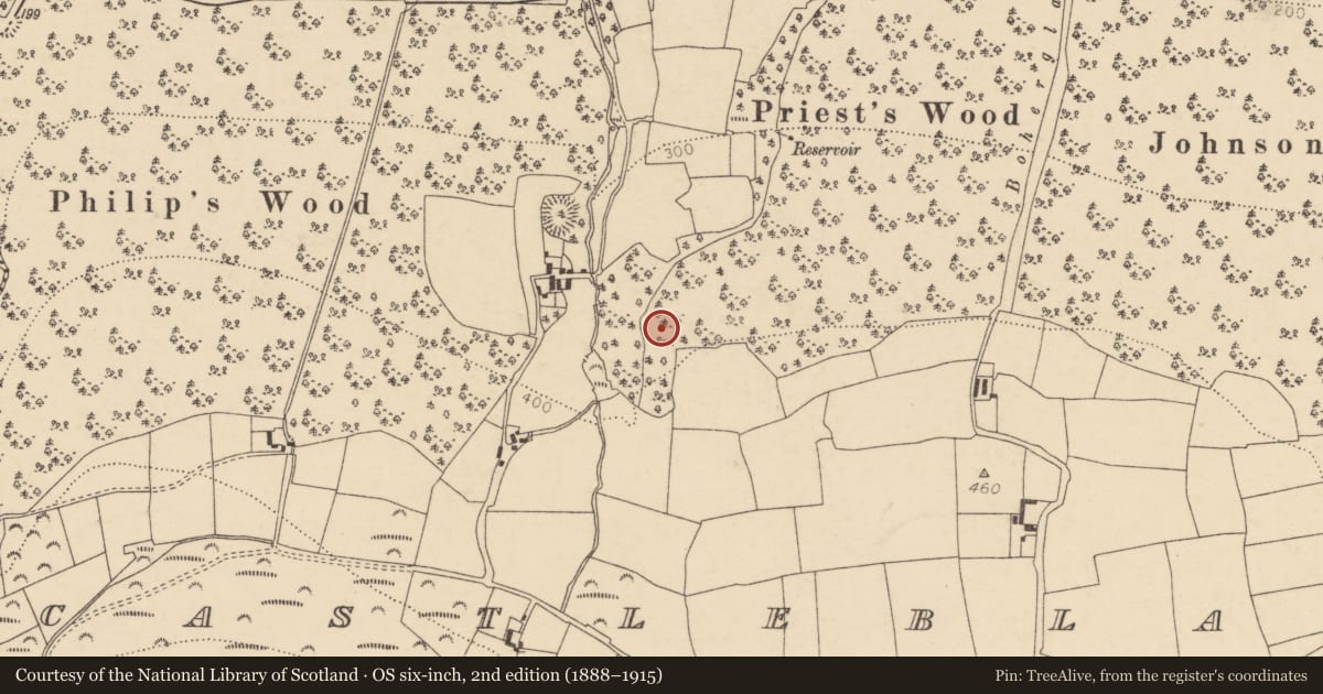Ordnance Survey six-inch map, 2nd edition (1888–1915) covering the location of Ringfort - rath, Castleblagh, County Cork, with a pin at the register's coordinates