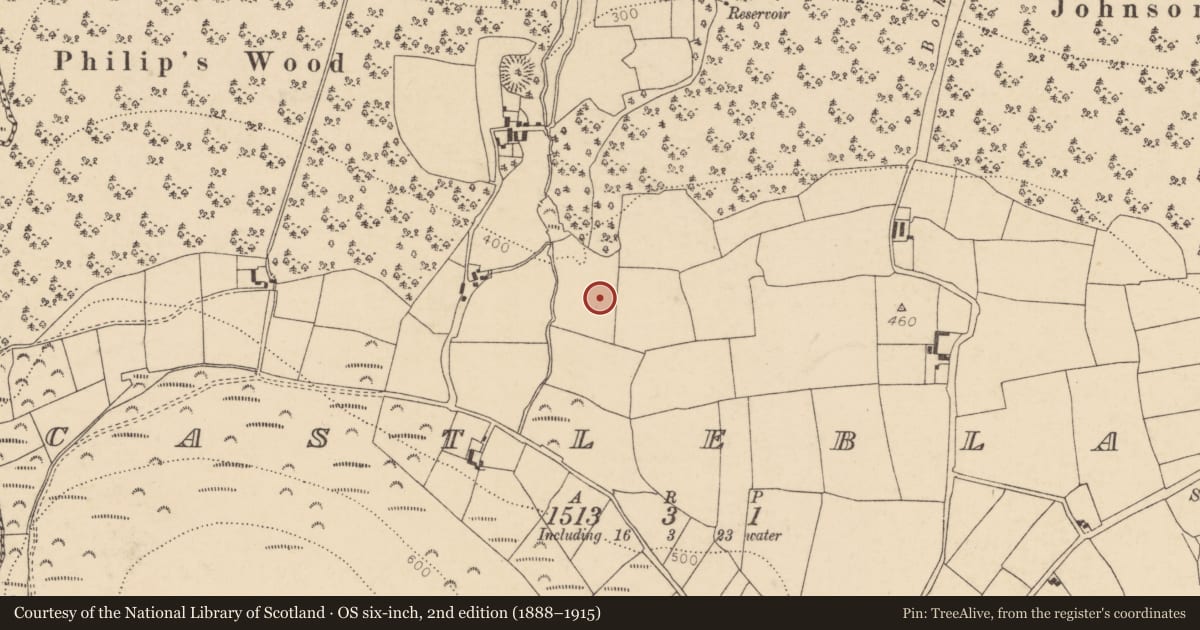 Ordnance Survey six-inch map, 2nd edition (1888–1915) covering the location of Fulacht fia, Castleblagh, County Cork, with a pin at the register's coordinates
