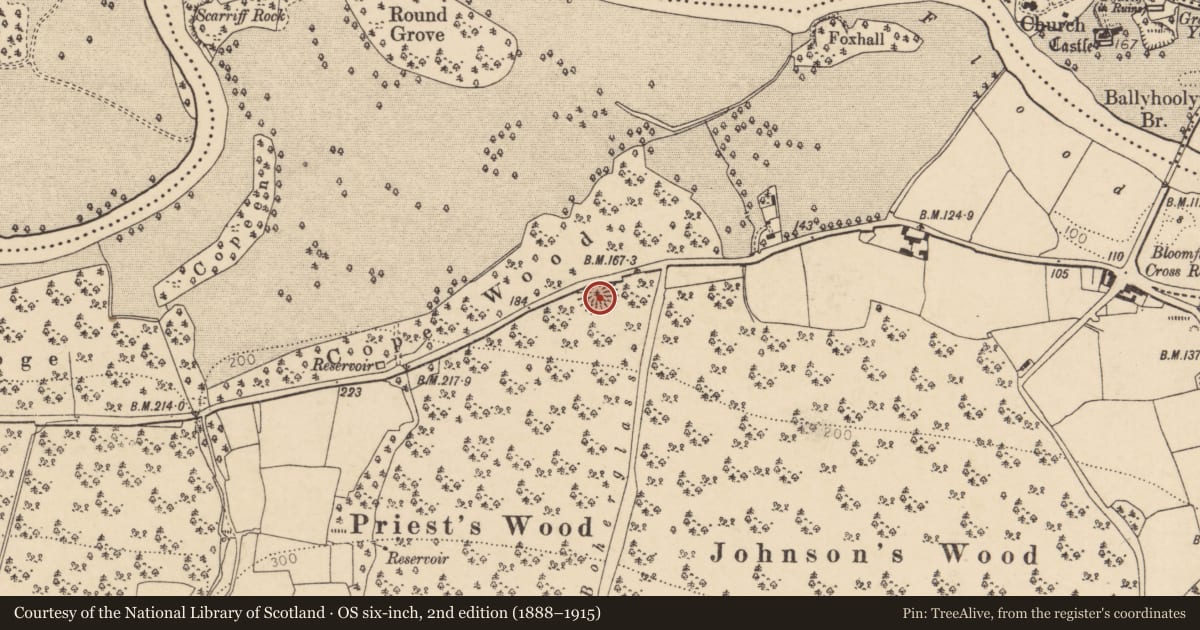 Ordnance Survey six-inch map, 2nd edition (1888–1915) covering the location of Ringfort - rath, Castleblagh, County Cork, with a pin at the register's coordinates