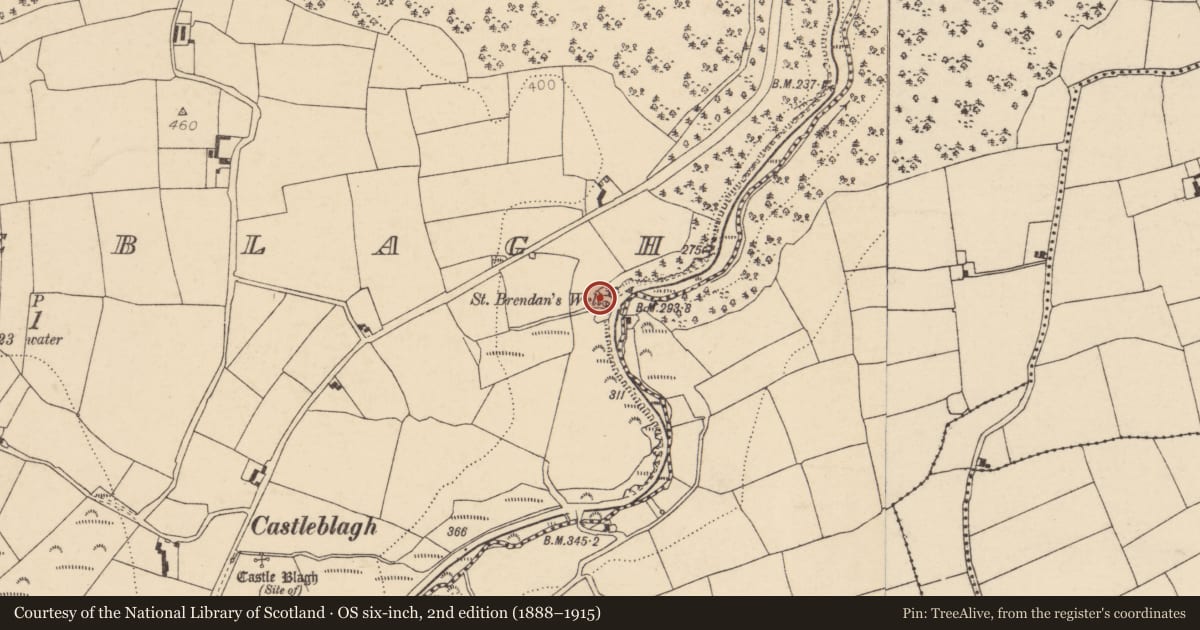 Ordnance Survey six-inch map, 2nd edition (1888–1915) covering the location of Ritual site - holy well, Castleblagh, County Cork, with a pin at the register's coordinates
