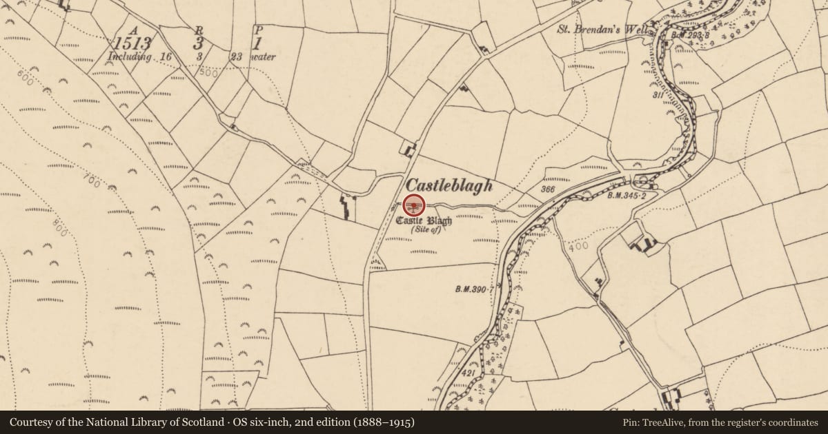 Ordnance Survey six-inch map, 2nd edition (1888–1915) covering the location of Castle - unclassified, Castleblagh, County Cork, with a pin at the register's coordinates