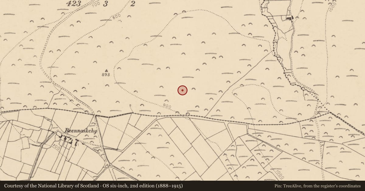 Ordnance Survey six-inch map, 2nd edition (1888–1915) covering the location of Cairn - unclassified, Glannagear, County Cork, with a pin at the register's coordinates