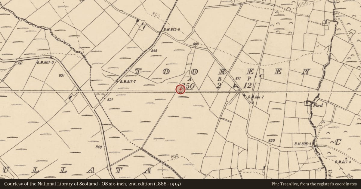 Ordnance Survey six-inch map, 2nd edition (1888–1915) covering the location of Fulacht fia, Tooreen, County Cork, with a pin at the register's coordinates