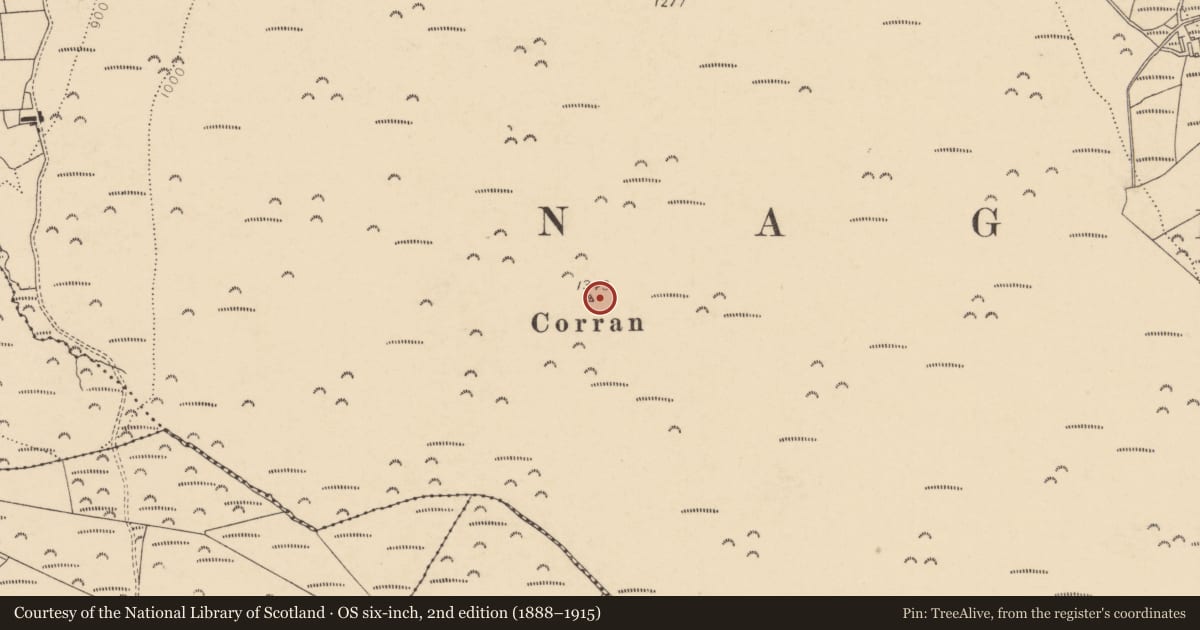Ordnance Survey six-inch map, 2nd edition (1888–1915) covering the location of Cairn - unclassified, Cloghvoolia North, County Cork, with a pin at the register's coordinates