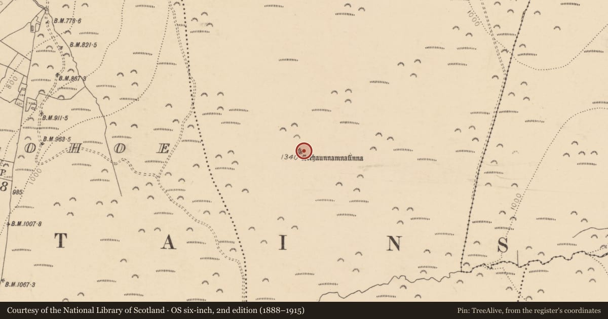 Ordnance Survey six-inch map, 2nd edition (1888–1915) covering the location of Cairn - unclassified, Ballydague, County Cork, with a pin at the register's coordinates