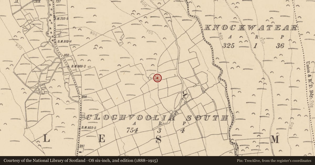 Ordnance Survey six-inch map, 2nd edition (1888–1915) covering the location of Megalithic structure, Cloghvoolia South, County Cork, with a pin at the register's coordinates