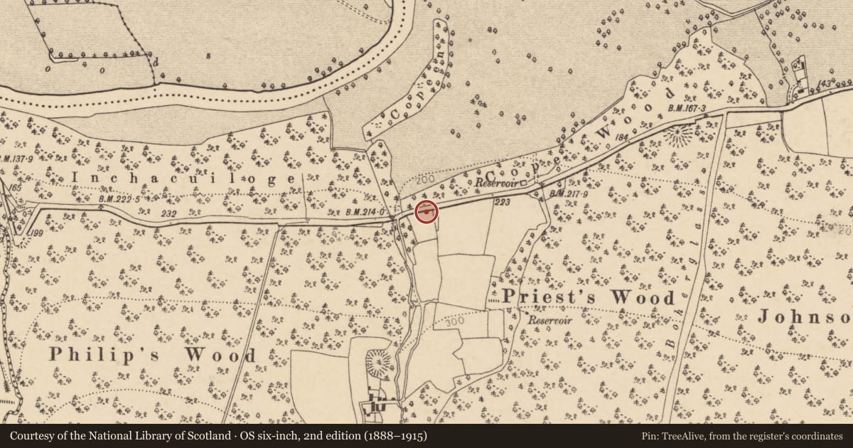 Ordnance Survey six-inch map, 2nd edition (1888–1915) covering the location of Mass-rock, Castleblagh, County Cork, with a pin at the register's coordinates
