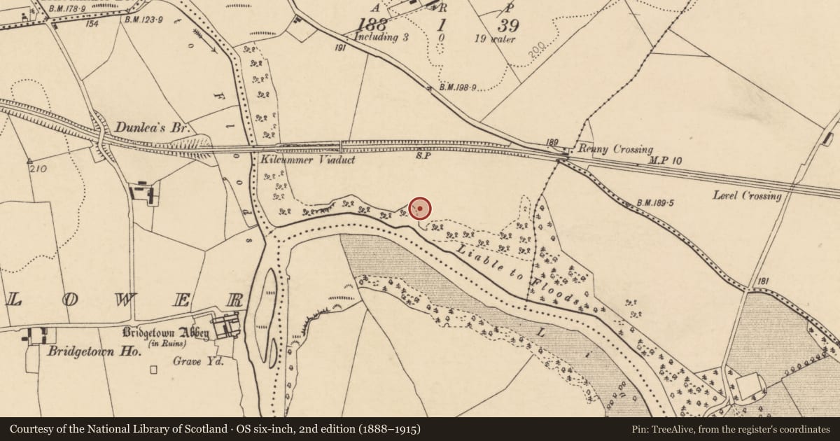 Ordnance Survey six-inch map, 2nd edition (1888–1915) covering the location of Prehistoric site - lithic scatter, Kilcummer Lower, County Cork, with a pin at the register's coordinates