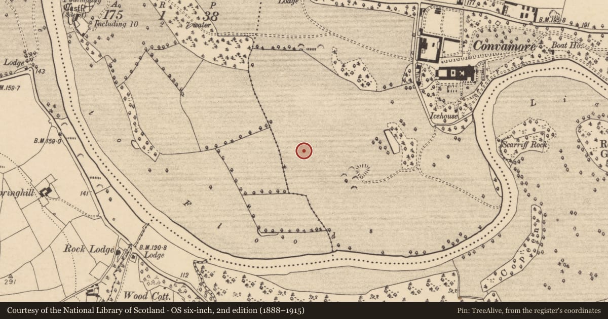 Ordnance Survey six-inch map, 2nd edition (1888–1915) covering the location of Prehistoric site - lithic scatter, Conva, County Cork, with a pin at the register's coordinates