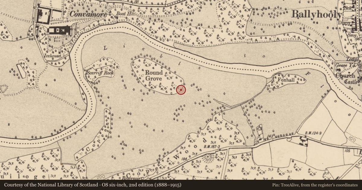 Ordnance Survey six-inch map, 2nd edition (1888–1915) covering the location of Prehistoric site - lithic scatter, Castleblagh, County Cork, with a pin at the register's coordinates