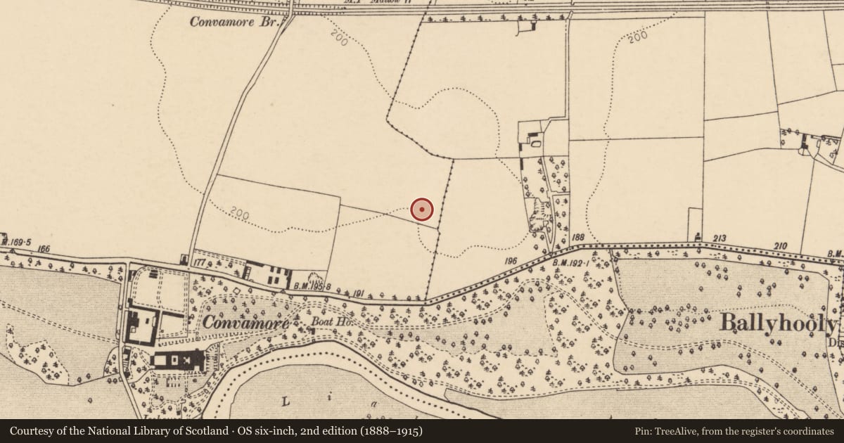 Ordnance Survey six-inch map, 2nd edition (1888–1915) covering the location of Souterrain, Conva, County Cork, with a pin at the register's coordinates