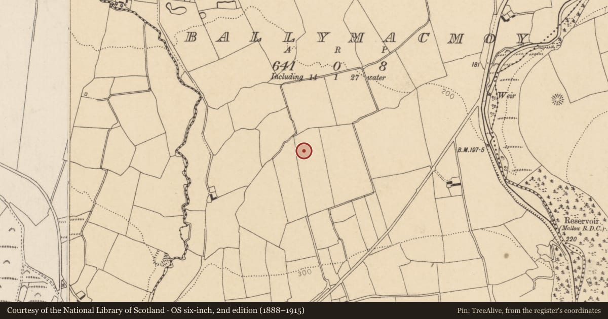 Ordnance Survey six-inch map, 2nd edition (1888–1915) covering the location of Fulacht fia, Ballymacmoy, County Cork, with a pin at the register's coordinates
