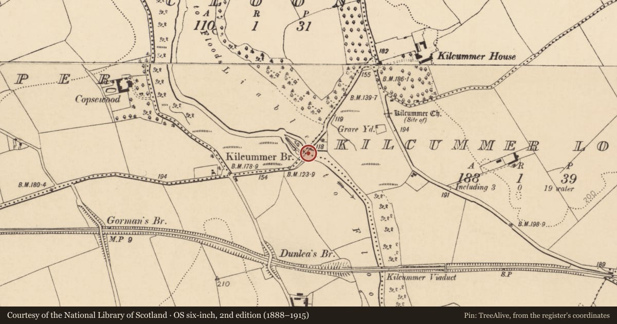 Ordnance Survey six-inch map, 2nd edition (1888–1915) covering the location of Bridge, County Cork, with a pin at the register's coordinates