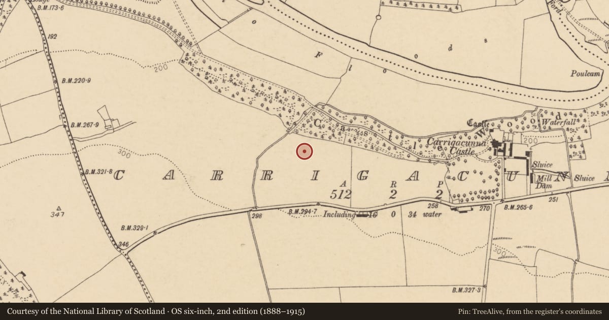 Ordnance Survey six-inch map, 2nd edition (1888–1915) covering the location of Enclosure, Carrigacunna, County Cork, with a pin at the register's coordinates