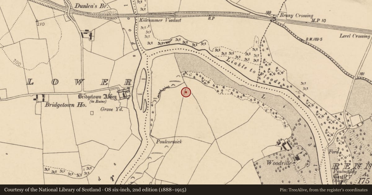 Ordnance Survey six-inch map, 2nd edition (1888–1915) covering the location of Enclosure, Ballydague, County Cork, with a pin at the register's coordinates