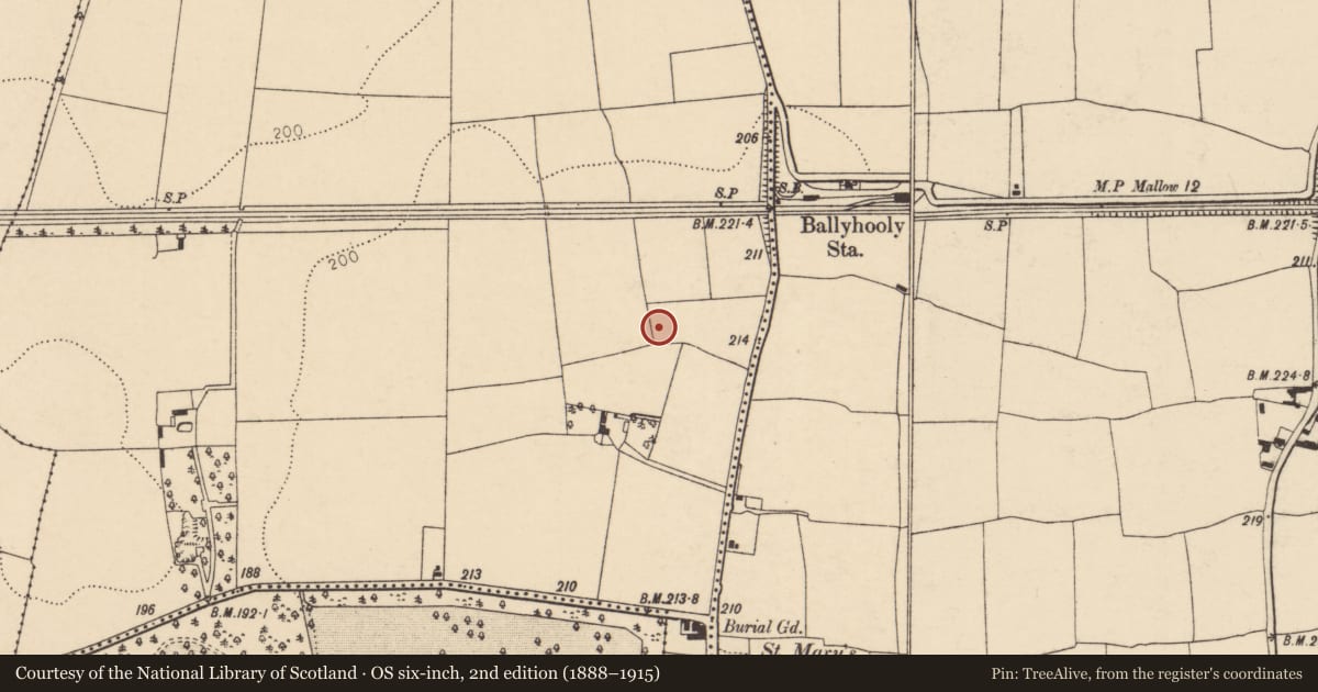 Ordnance Survey six-inch map, 2nd edition (1888–1915) covering the location of Ringfort - rath, Ballyhooly North, County Cork, with a pin at the register's coordinates