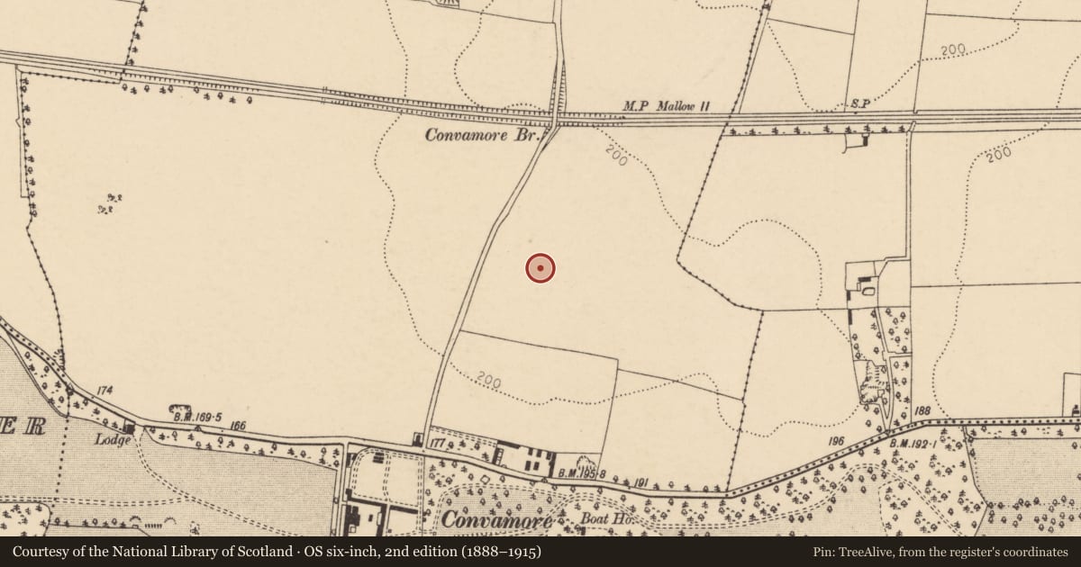 Ordnance Survey six-inch map, 2nd edition (1888–1915) covering the location of Enclosure, Conva, County Cork, with a pin at the register's coordinates