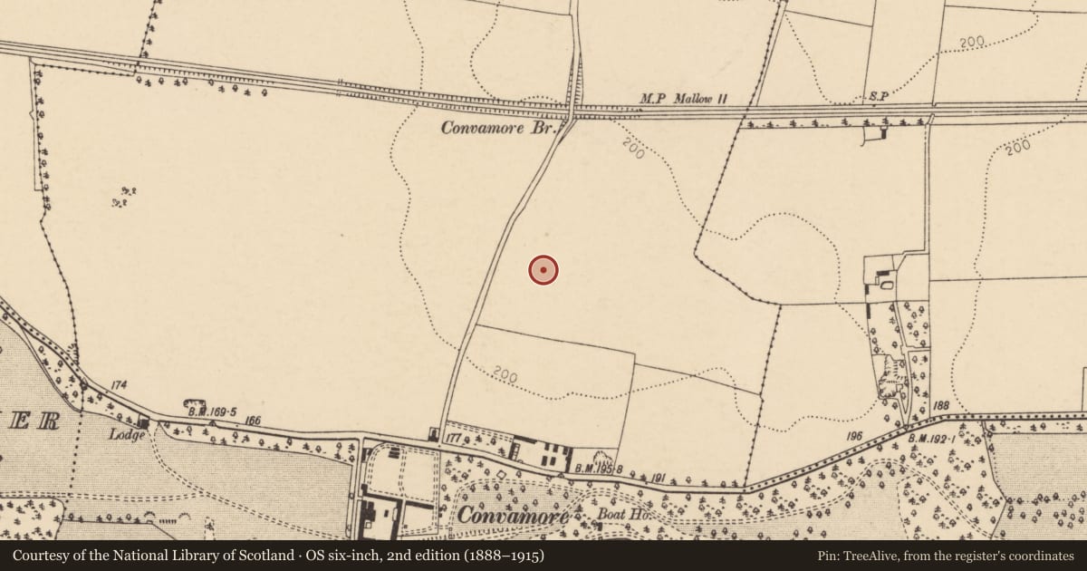 Ordnance Survey six-inch map, 2nd edition (1888–1915) covering the location of Enclosure, Conva, County Cork, with a pin at the register's coordinates