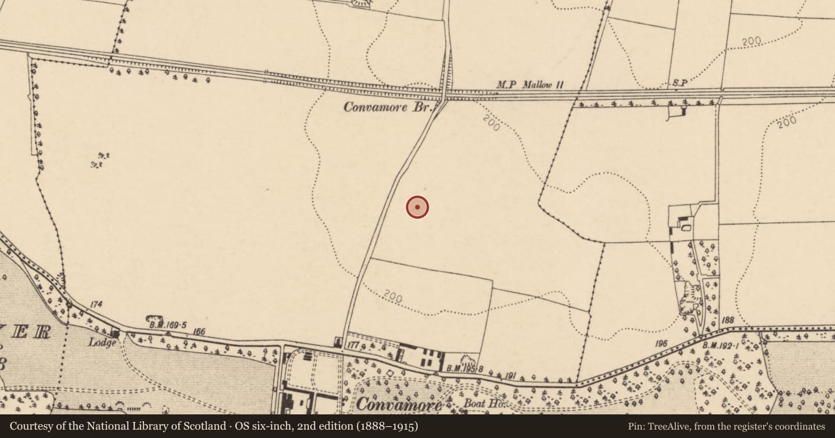 Ordnance Survey six-inch map, 2nd edition (1888–1915) covering the location of Pit, Conva, County Cork, with a pin at the register's coordinates