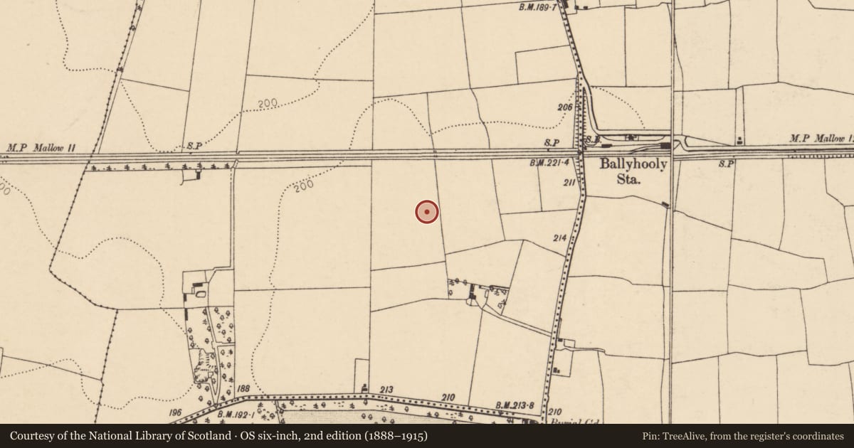 Ordnance Survey six-inch map, 2nd edition (1888–1915) covering the location of Enclosure, Ballyhooly North, County Cork, with a pin at the register's coordinates