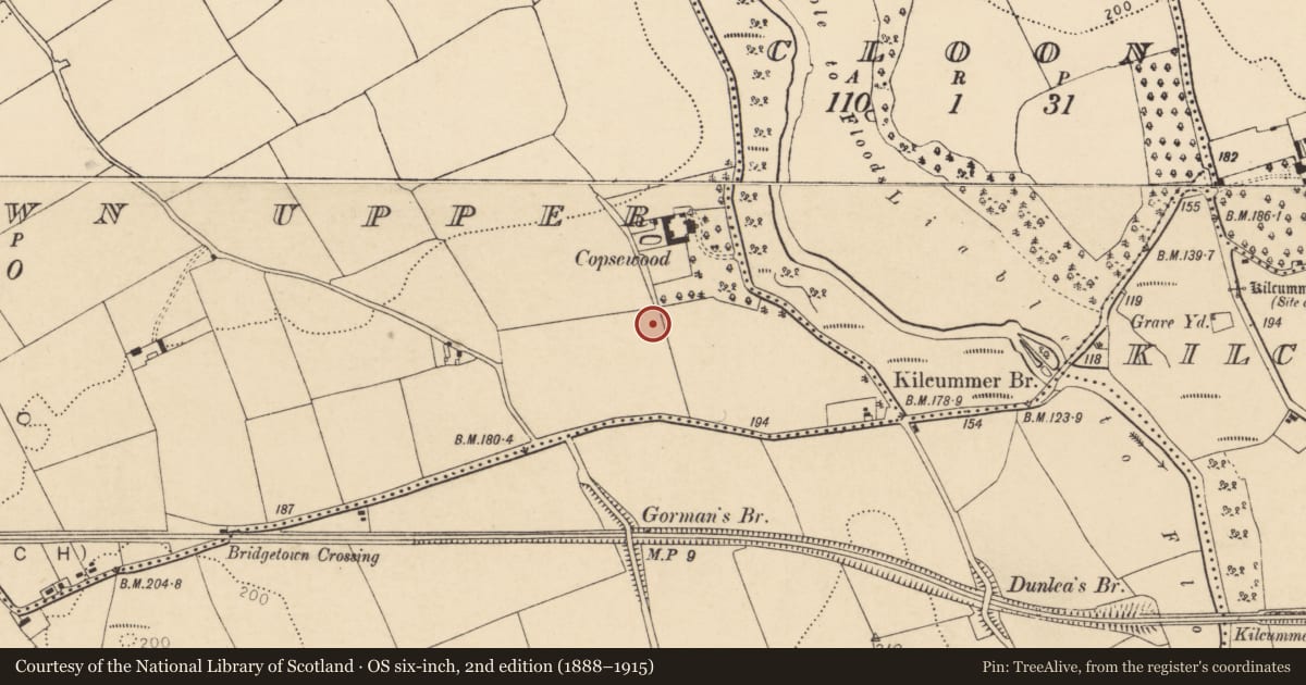 Ordnance Survey six-inch map, 2nd edition (1888–1915) covering the location of Enclosure, Bridgetown Upper, County Cork, with a pin at the register's coordinates