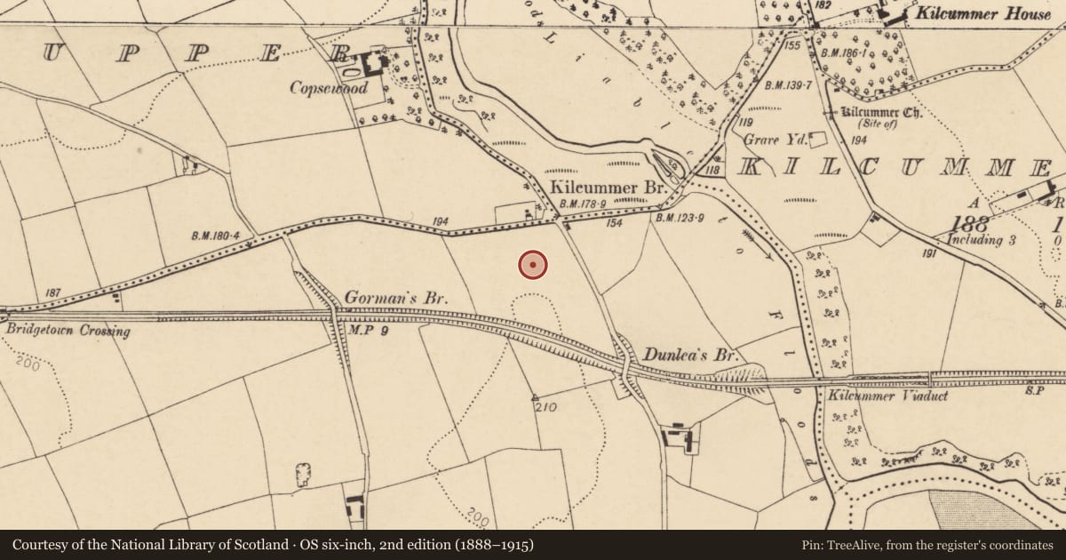 Ordnance Survey six-inch map, 2nd edition (1888–1915) covering the location of Ring-ditch, Bridgetown Lower, County Cork, with a pin at the register's coordinates