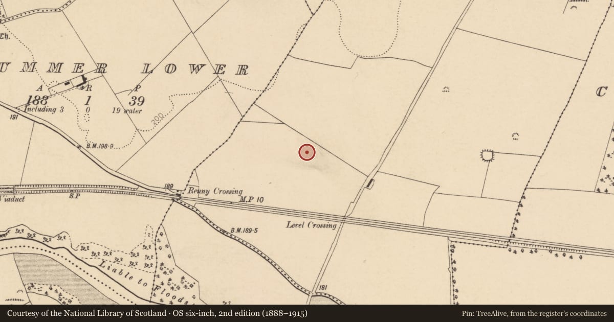 Ordnance Survey six-inch map, 2nd edition (1888–1915) covering the location of Field system, Renny Upper, County Cork, with a pin at the register's coordinates